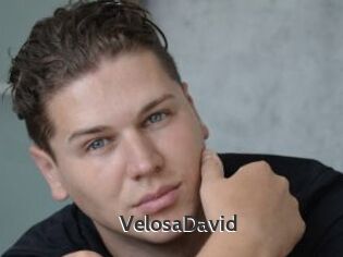 VelosaDavid