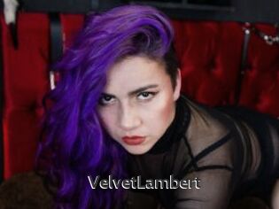 VelvetLambert