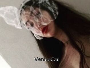 VeniceCat