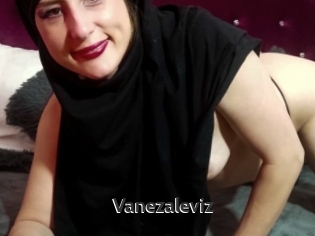 Vanezaleviz