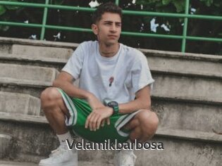 Velamikbarbosa