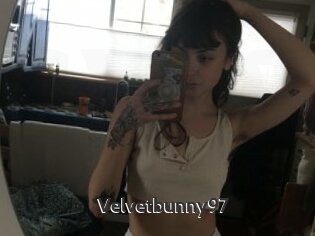 Velvetbunny97