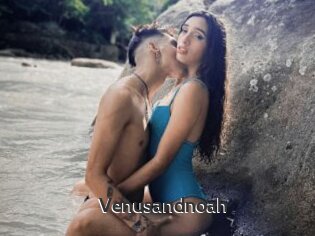 Venusandnoah