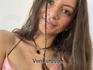 Venusrossee