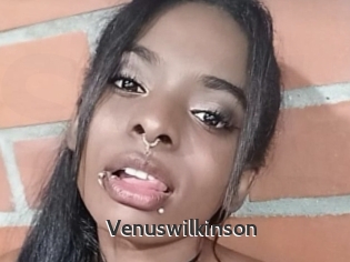 Venuswilkinson