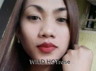 WILD_HOTrose