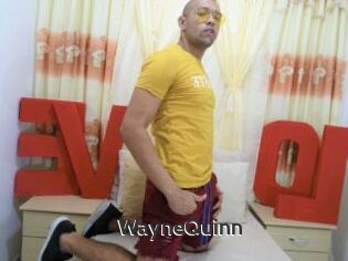 WayneQuinn