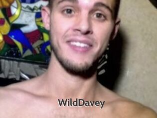 WildDavey