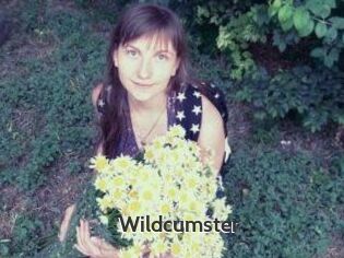 Wildcumster