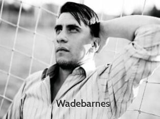 Wadebarnes