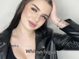 Whitneyfugler