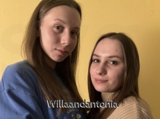 Willaandantonia