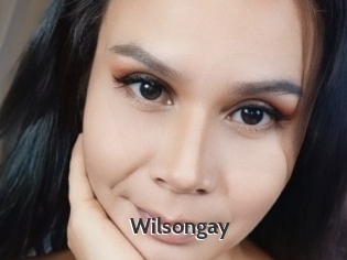 Wilsongay