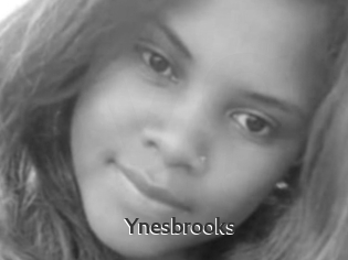 Ynesbrooks