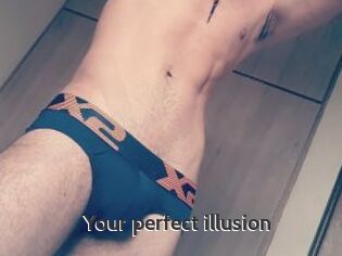 Your_perfect_illusion